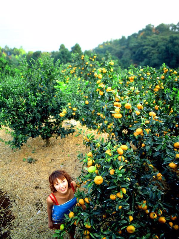 [NS Eyes] SF-No.110 Asumi Kato Asumi Kato / Eiko Kato